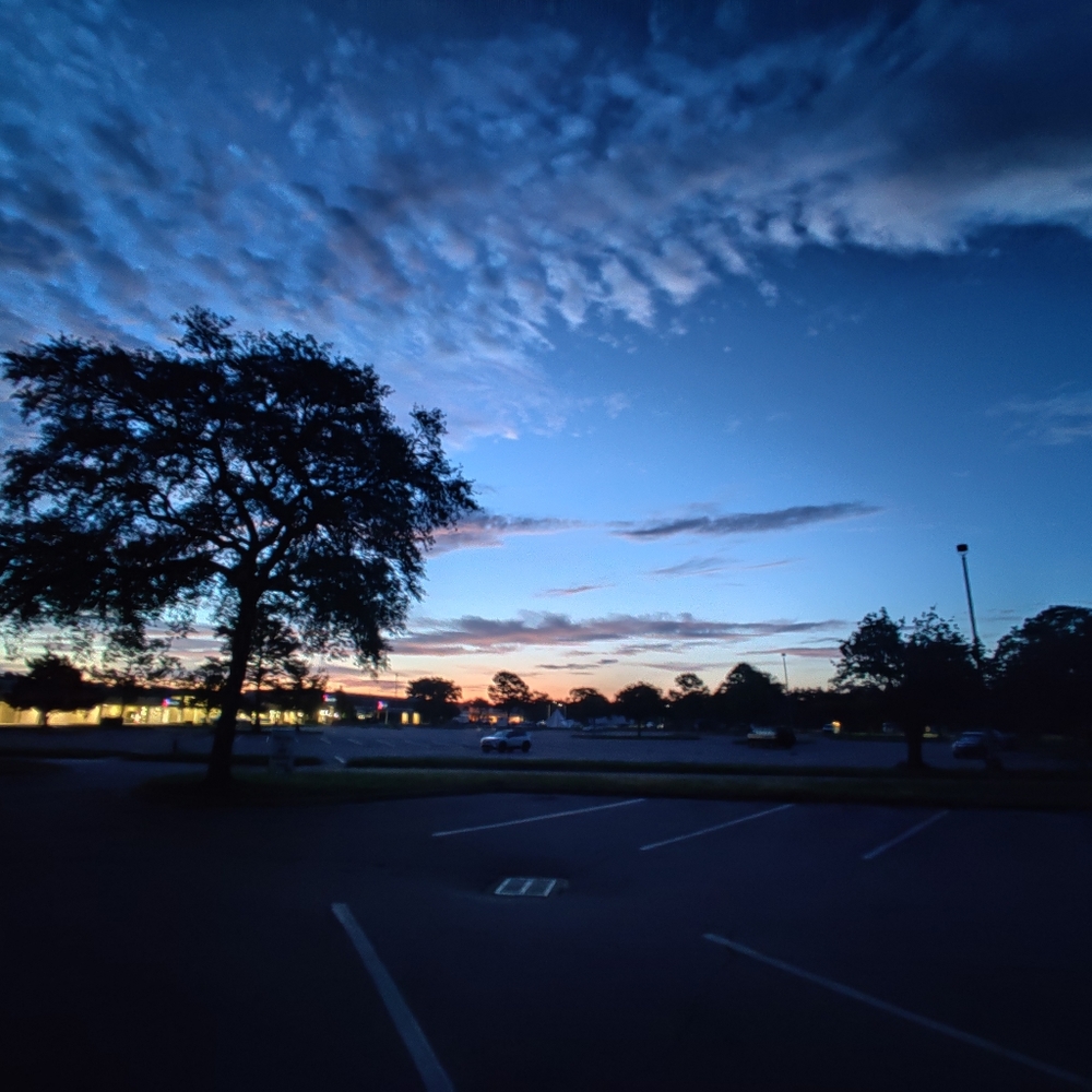 Meet your Posher, Miss Jones